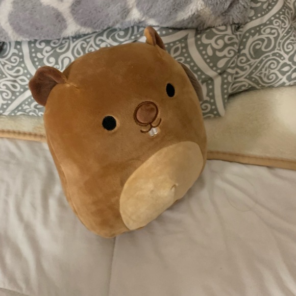 Squishmallows - Picture 2 of 16